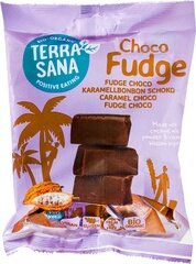 TerraSana Fudge choco 150g