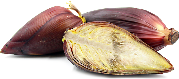 Nature's Charm Banana Blossom Gemarineerd 510g