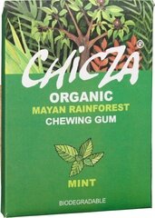 Chicza Mayan Kauwgom Mint 30g